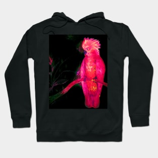 BRIGHT PINK TROPICAL COCKATOO PARROT ISLAND EXOTIC BIRD PALM POSTER PRINT Hoodie